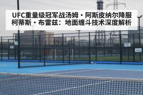 UFC重量级冠军战汤姆·阿斯皮纳尔降服柯蒂斯·布雷兹:地面缠斗技术深度解析