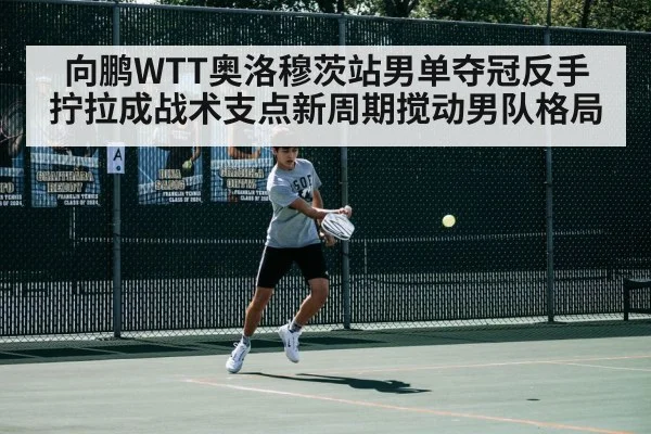 向鹏WTT奥洛穆茨站男单夺冠反手拧拉成战术支点新周期搅动男队格局